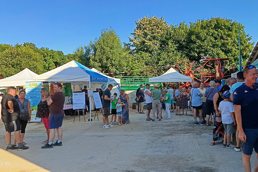 Cinéma de plein air et marché de producteurs